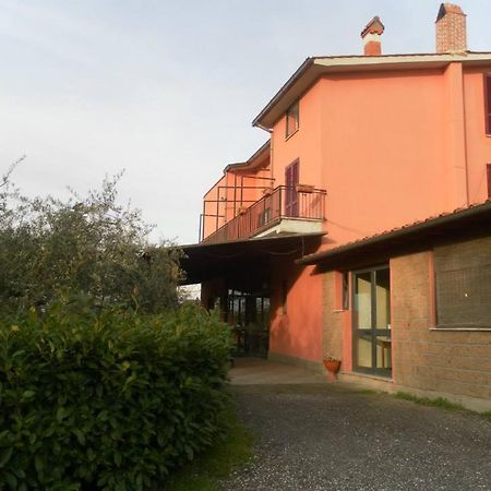 Il Contado B&B Castel Sant'Elia Екстер'єр фото