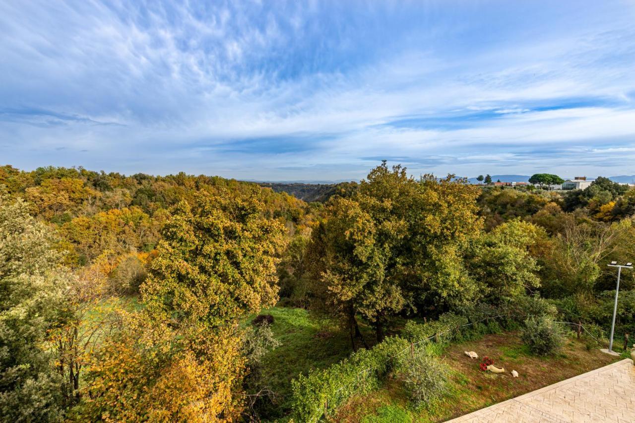Il Contado B&B Castel Sant'Elia Екстер'єр фото